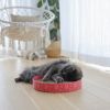 Cat Scratch Bed Circle in Cardboard pink 34cm